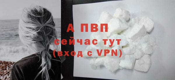 ГАЛЛЮЦИНОГЕННЫЕ ГРИБЫ Новокубанск